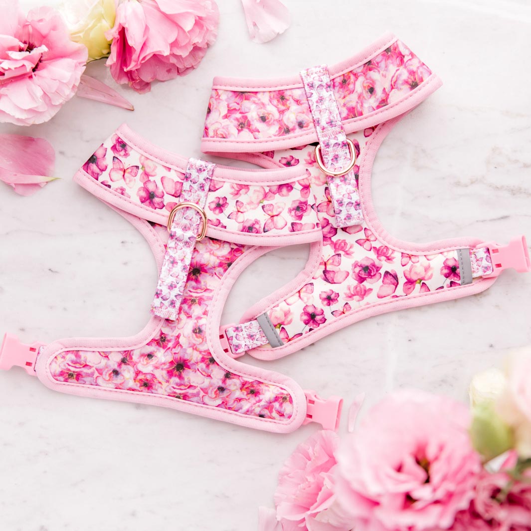 Underside of the You Give Me Butterflies reversible dog harness.