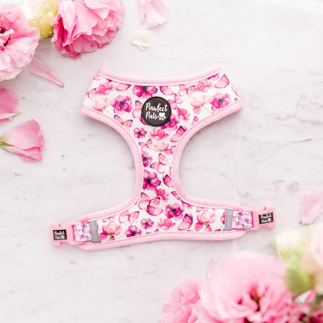Butterflies and flowers side of the You Give Me Butterflies reversible dog harness.