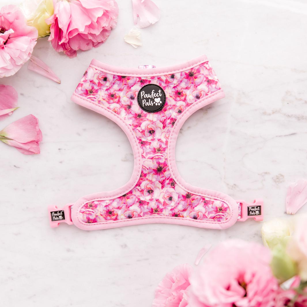 Floral boquet side of the You Give Me Butterflies reversible dog harness.