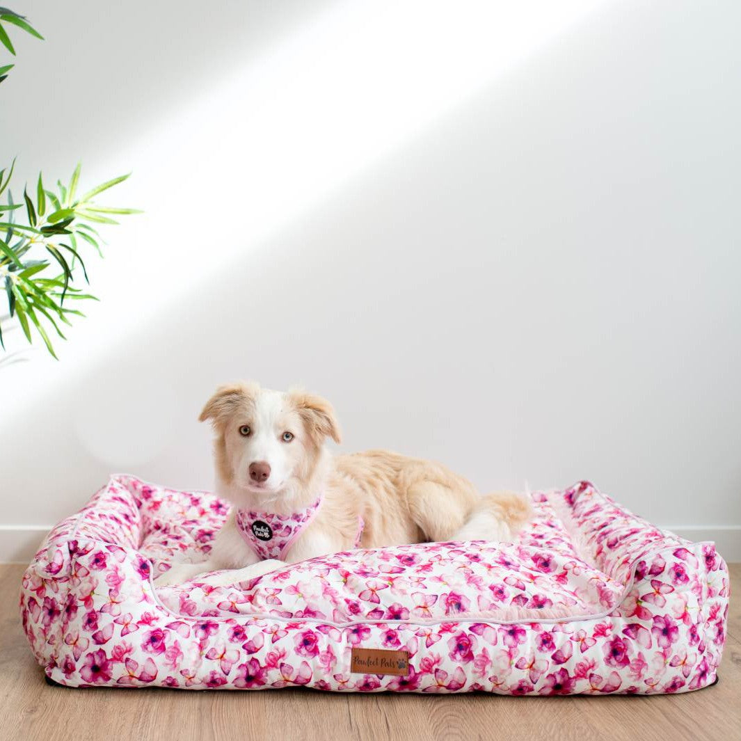 AmbassaDOG on the You Give me Butterflies snuggle bud dog bed in large.