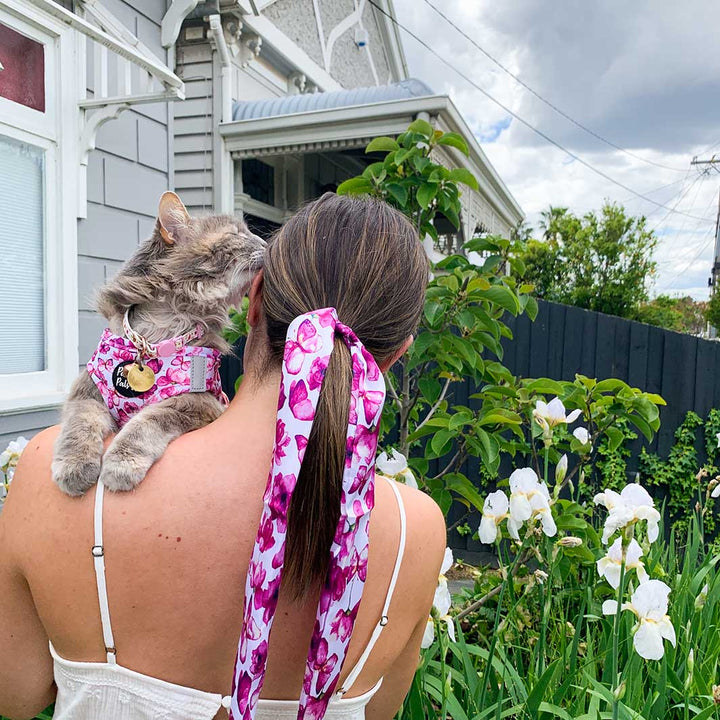 Lily in her You Give me Butterflies cat harness and collar.