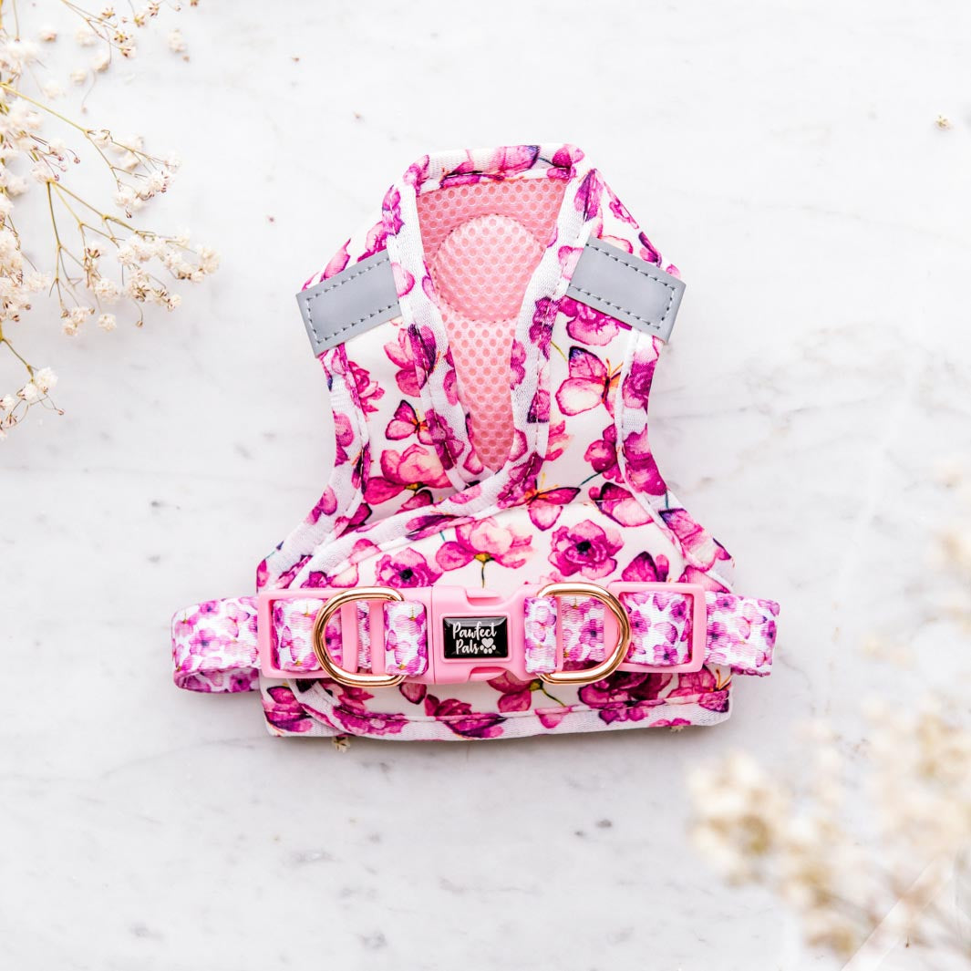 Underside of the You Give me Butterflies cat harness.