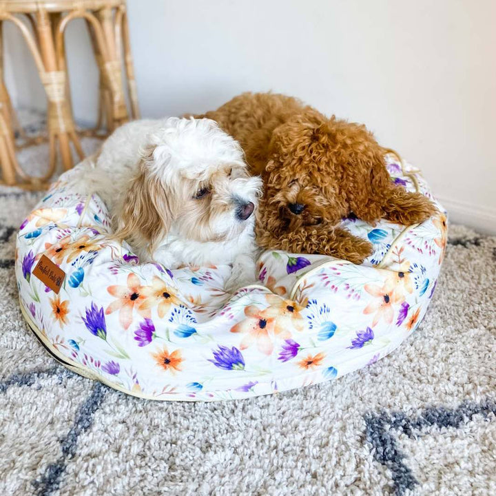AmbassaDOGS in the You Grow Girl cuddle bud dog bed in small.