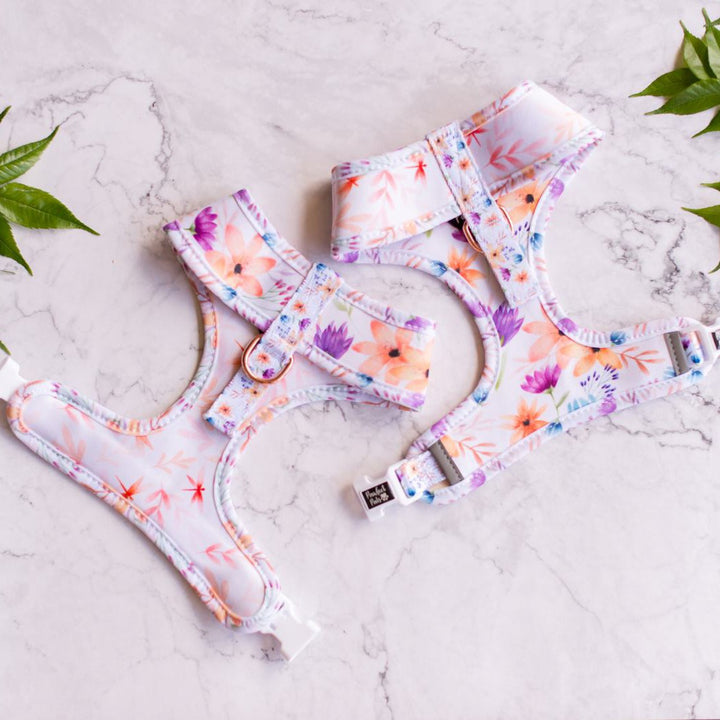 Underside of the You Grow Girl harness.