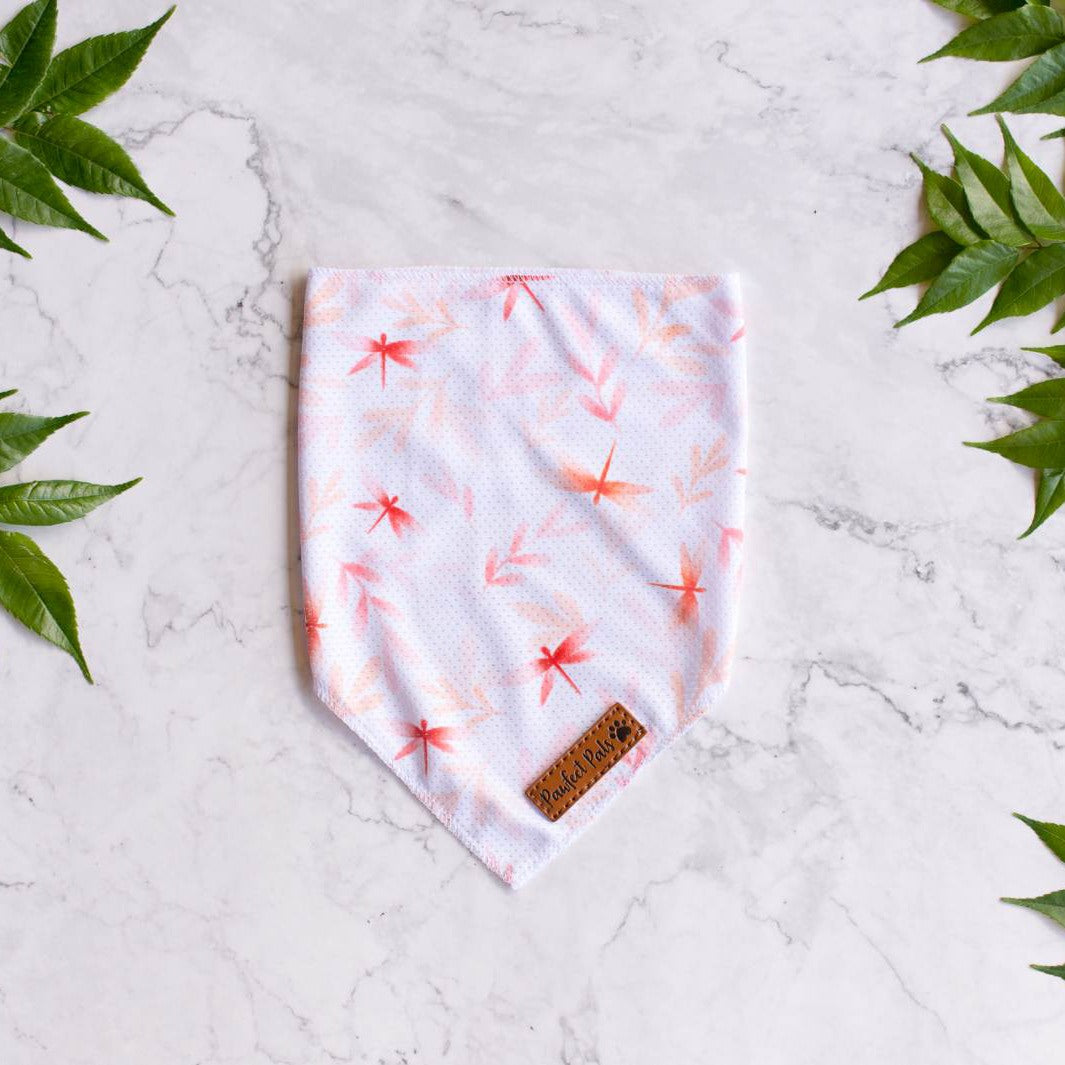 You Grow Girl - Dragonfly cooling bandana.