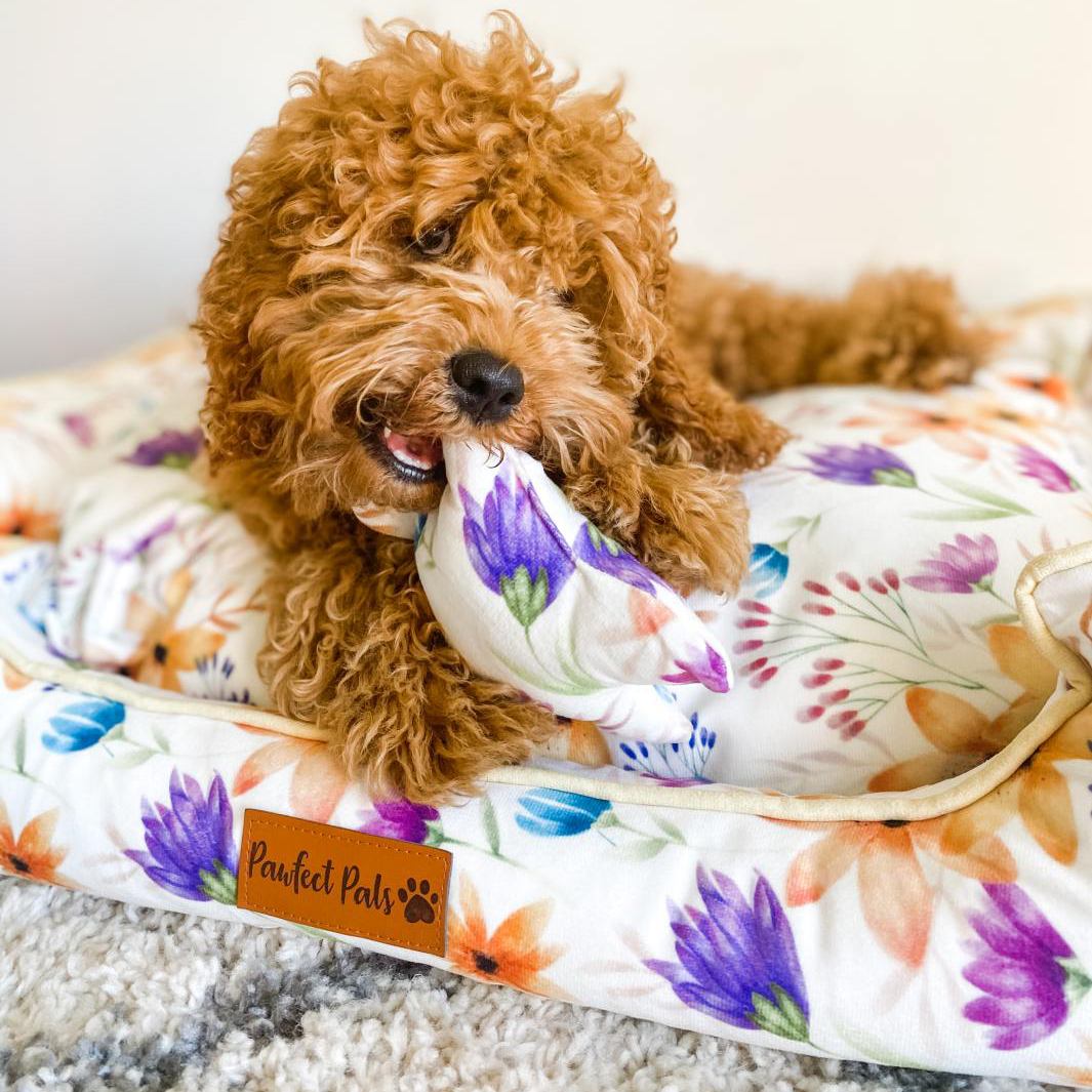 AmbassaDOG in the You Grow Girl snuggle bud dog bed with the free toy.