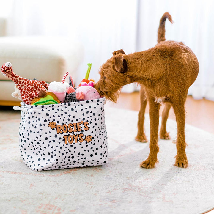 Zoomies - Terrazzo personalised toy box.