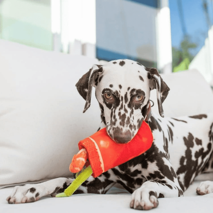 Buddy Mary - Dog Toy