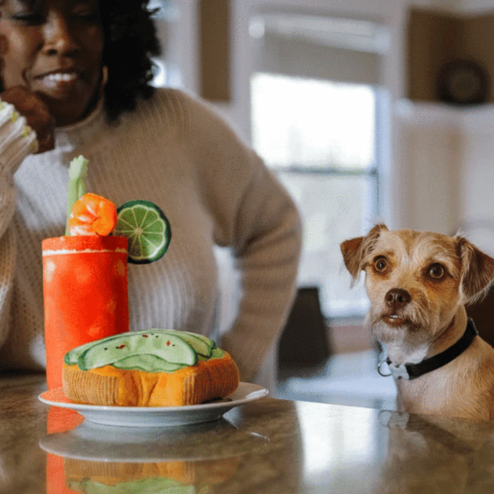 Buddy Mary - Dog Toy