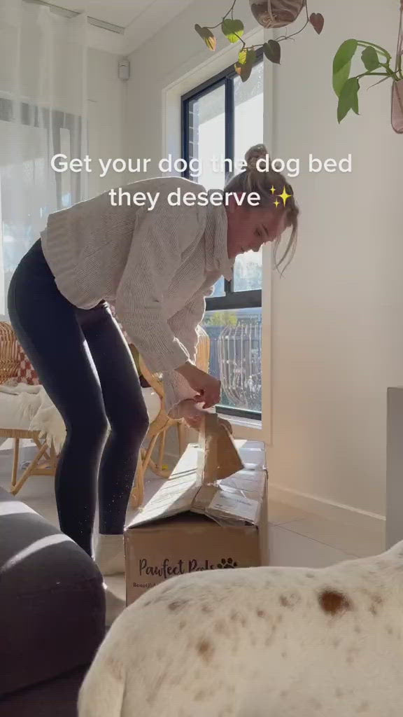 Claudia Mumberson setting up a Sunshine on my Mind snuggle bud dog bed for her dogs.