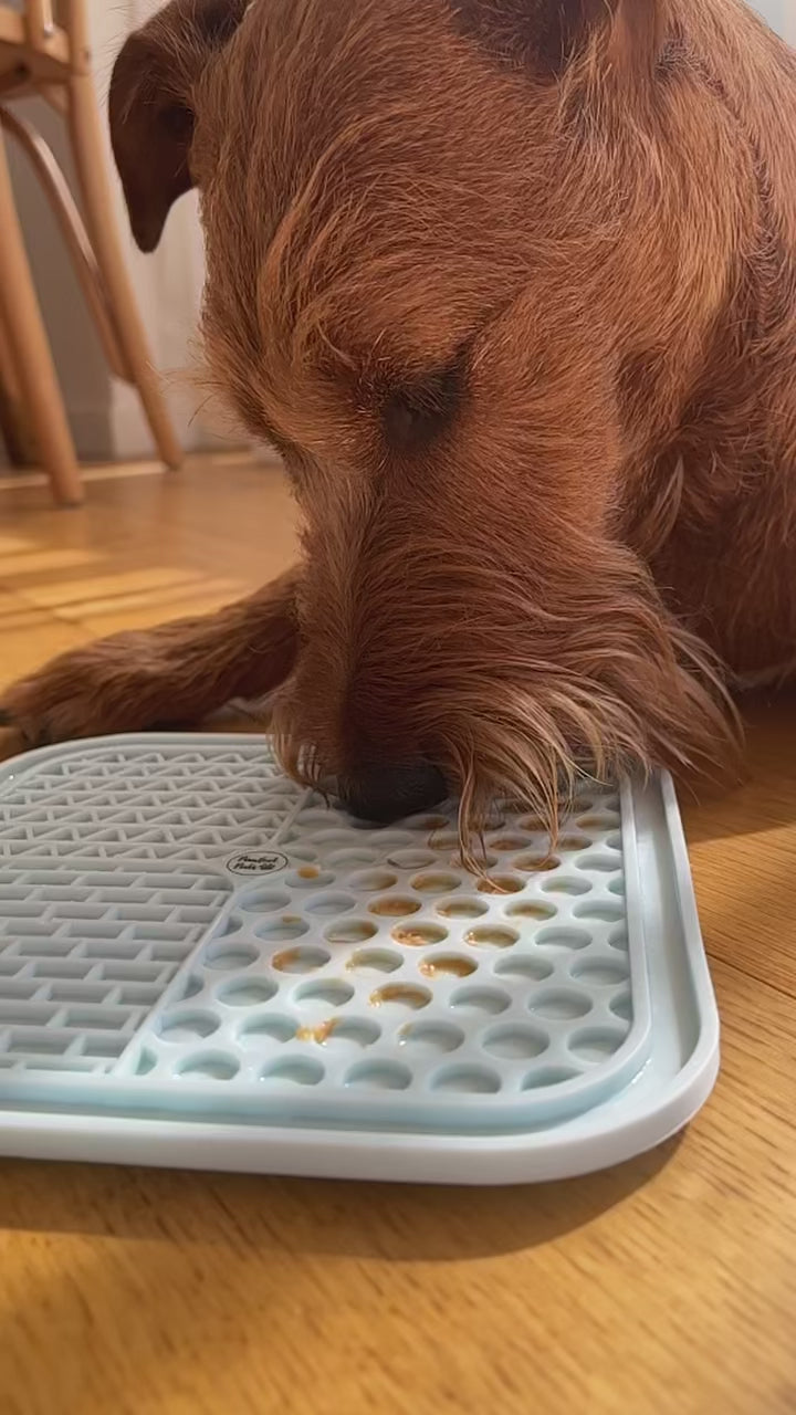 Henry enjoying a treat on his Licki Mat.