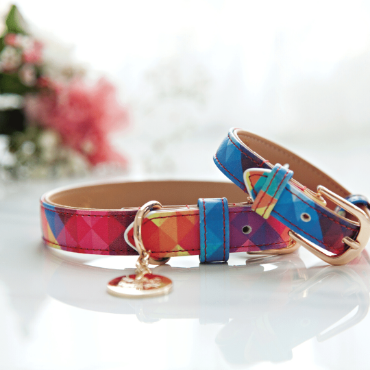 Little Ray of Sunshine - Dog Collar